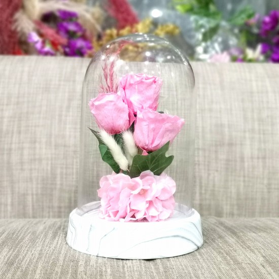 Long Lasting pink Roses