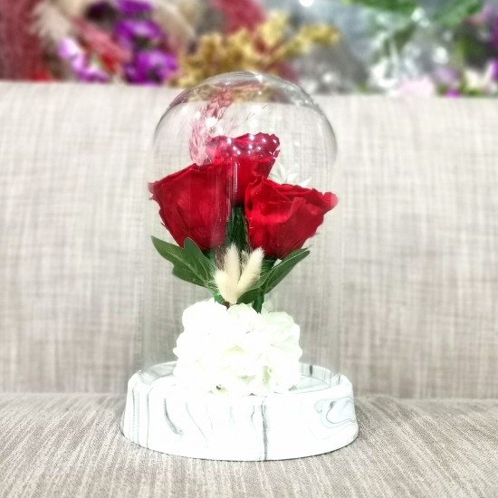 Long Lasting red Roses