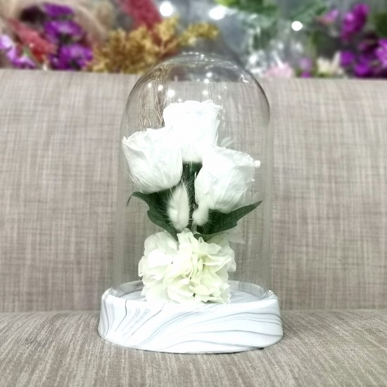 Long Lasting white Roses