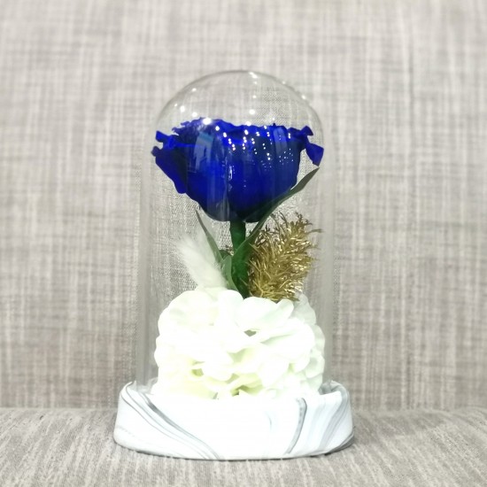 Long Lasting Blue Rose Big